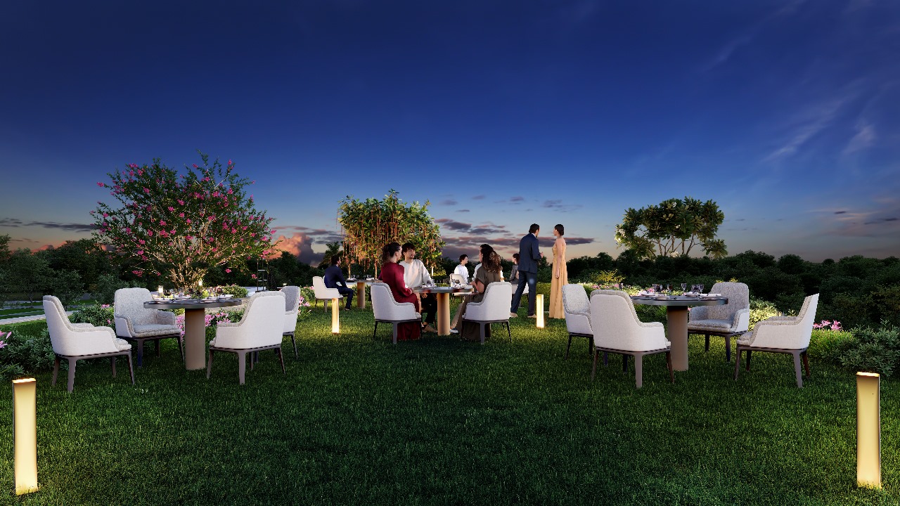Party Lawn